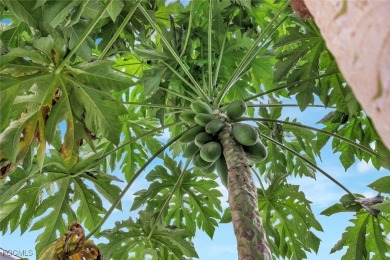 Nestled in the heart of Palmetto Pines Golf Community, this on Palmetto-Pine Country Club in Florida - for sale on GolfHomes.com, golf home, golf lot