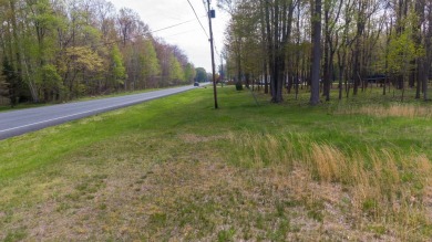 WOODED ONE ACRE Building Site offers an attractive canvas for on Whittaker Woods Golf Course in Michigan - for sale on GolfHomes.com, golf home, golf lot