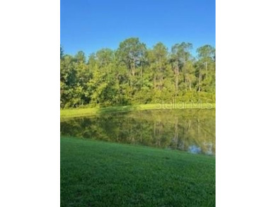 Move-in Ready 3 Bedroom, 2 Bath Home with Serene Pond Views! on Tampa Bay Golf and Country Club in Florida - for sale on GolfHomes.com, golf home, golf lot