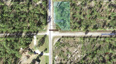 Come build your forever home on this one-half acre corner lot on Indian Lake Estates Golf and Country Club in Florida - for sale on GolfHomes.com, golf home, golf lot