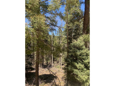 Nicely wood, very buildable lot on San Felipe Circle on Angel Fire Resort Country Club in New Mexico - for sale on GolfHomes.com, golf home, golf lot