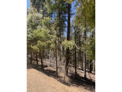Nicely wood, very buildable lot on San Felipe Circle on Angel Fire Resort Country Club in New Mexico - for sale on GolfHomes.com, golf home, golf lot