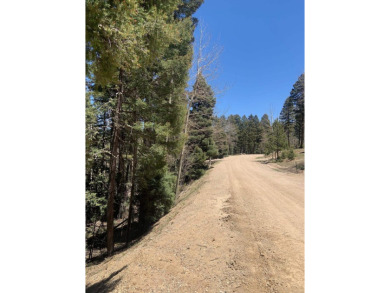 Nicely wood, very buildable lot on San Felipe Circle on Angel Fire Resort Country Club in New Mexico - for sale on GolfHomes.com, golf home, golf lot