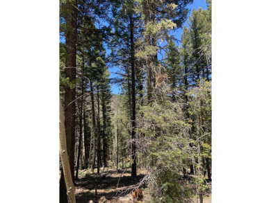 Nicely wood, very buildable lot on San Felipe Circle on Angel Fire Resort Country Club in New Mexico - for sale on GolfHomes.com, golf home, golf lot