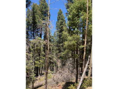 Nicely wood, very buildable lot on San Felipe Circle on Angel Fire Resort Country Club in New Mexico - for sale on GolfHomes.com, golf home, golf lot