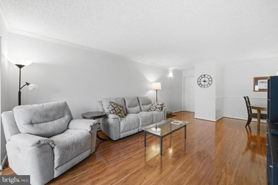 Life is easy in this turn-key 3BR/2FB Leisure World condo! on Leisure World Golf Club in Maryland - for sale on GolfHomes.com, golf home, golf lot