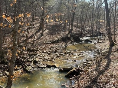 Wake up each morning to the peaceful sounds of hummingbirds and on Raintree Country Club in Missouri - for sale on GolfHomes.com, golf home, golf lot