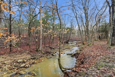 Wake up each morning to the peaceful sounds of hummingbirds and on Raintree Country Club in Missouri - for sale on GolfHomes.com, golf home, golf lot