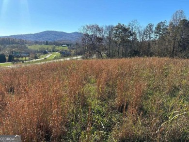 Conveniently located between Hayesville, NC, and Hiawassee, GA on Chatuge Shores Golf Course in North Carolina - for sale on GolfHomes.com, golf home, golf lot