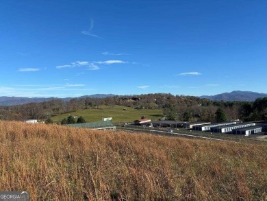 Conveniently located between Hayesville, NC, and Hiawassee, GA on Chatuge Shores Golf Course in North Carolina - for sale on GolfHomes.com, golf home, golf lot