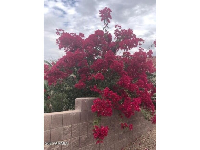 Attention savvy buyers! This beautiful well-maintained Madera on Desert Springs Golf Course in Arizona - for sale on GolfHomes.com, golf home, golf lot