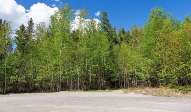Nestled within the exclusive Iron Horse Golf Community, this 3 on Iron Horse Golf Club in Montana - for sale on GolfHomes.com, golf home, golf lot