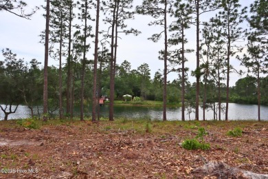 Coming Fall 2025--an exceptional new Lakefront home by Langbeen on The Lakes Country Club in North Carolina - for sale on GolfHomes.com, golf home, golf lot
