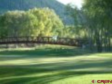 Trisha Taylor, RE/MAX Pinnacle, C: , trishvon,  : Golf Course on Rio Grande Golf Club in Colorado - for sale on GolfHomes.com, golf home, golf lot