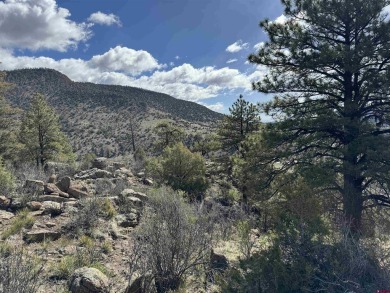 Suzy Woodward, Team Murphy Realty, C: , suzy,  : Perched on Rio Grande Golf Club in Colorado - for sale on GolfHomes.com, golf home, golf lot