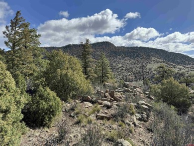 Suzy Woodward, Team Murphy Realty, C: , suzy,  : Perched on Rio Grande Golf Club in Colorado - for sale on GolfHomes.com, golf home, golf lot