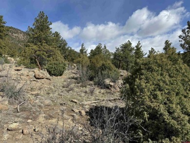 Suzy Woodward, Team Murphy Realty, C: , suzy,  : Perched on Rio Grande Golf Club in Colorado - for sale on GolfHomes.com, golf home, golf lot