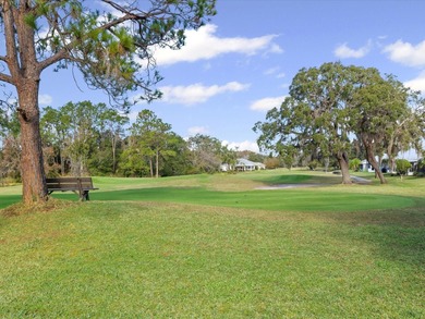 One or more photo(s) has been virtually staged. LOCATION. LUXURY on Summertree Golf Course in Florida - for sale on GolfHomes.com, golf home, golf lot