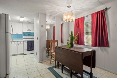 One or more photo(s) has been virtually staged. Welcome to Dora on Country Club of Mount Dora in Florida - for sale on GolfHomes.com, golf home, golf lot