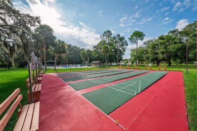 One or more photo(s) has been virtually staged. Welcome to Dora on Country Club of Mount Dora in Florida - for sale on GolfHomes.com, golf home, golf lot