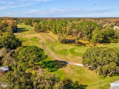 One or more photo(s) has been virtually staged. LOCATION. LUXURY on Summertree Golf Course in Florida - for sale on GolfHomes.com, golf home, golf lot