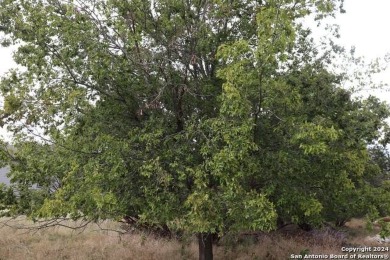 Beautiful lot on a quiet street backing to a greenbelt by the on Quicksand At Woodcreek Golf Club in Texas - for sale on GolfHomes.com, golf home, golf lot