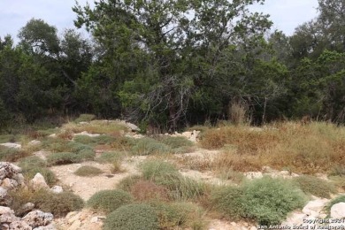 Beautiful lot on a quiet street backing to a greenbelt by the on Quicksand At Woodcreek Golf Club in Texas - for sale on GolfHomes.com, golf home, golf lot