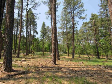 Three Contiguous Lots With Over 1.66 Acres Have Recently Been on Pendaries Village Community Assoc. in New Mexico - for sale on GolfHomes.com, golf home, golf lot