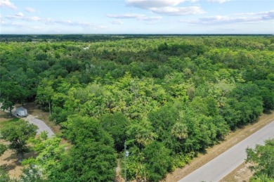 Prime 5-Acre Lot in Desirable Golden Gate Estates, Naples. This on The Club At Twin Eagles in Florida - for sale on GolfHomes.com, golf home, golf lot