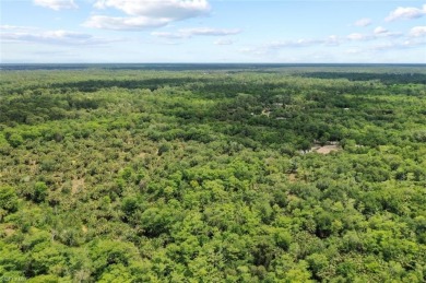 Prime 5-Acre Lot in Desirable Golden Gate Estates, Naples. This on The Club At Twin Eagles in Florida - for sale on GolfHomes.com, golf home, golf lot