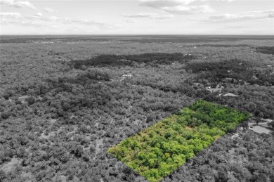 Prime 5-Acre Lot in Desirable Golden Gate Estates, Naples. This on The Club At Twin Eagles in Florida - for sale on GolfHomes.com, golf home, golf lot