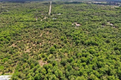 Prime 5-Acre Lot in Desirable Golden Gate Estates, Naples. This on The Club At Twin Eagles in Florida - for sale on GolfHomes.com, golf home, golf lot