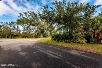 Your Dream Oasis Awaits! Extremely rare opportunity in one of on Marsh Landing Country Club - Saint Johns County in Florida - for sale on GolfHomes.com, golf home, golf lot