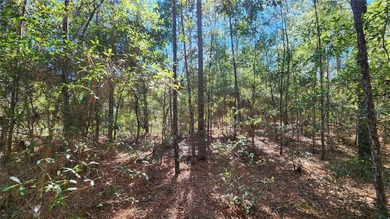 Under contract-accepting backup offers. Beautiful homesite on on El Diablo Golf and Country Club in Florida - for sale on GolfHomes.com, golf home, golf lot