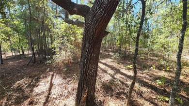 Under contract-accepting backup offers. Beautiful homesite on on El Diablo Golf and Country Club in Florida - for sale on GolfHomes.com, golf home, golf lot