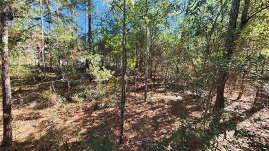 Under contract-accepting backup offers. Beautiful homesite on on El Diablo Golf and Country Club in Florida - for sale on GolfHomes.com, golf home, golf lot