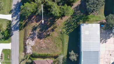 Rare opportunity to build your custom home in the highly on Spruce Creek Golf Club in Florida - for sale on GolfHomes.com, golf home, golf lot