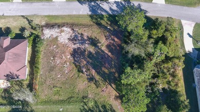 Rare opportunity to build your custom home in the highly on Spruce Creek Golf Club in Florida - for sale on GolfHomes.com, golf home, golf lot