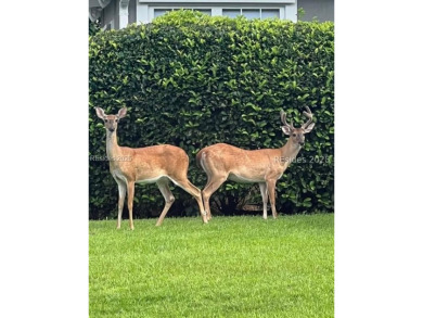 Charming and move-in ready! This immaculate 3BA/2BA (or 2BD + on Hidden Cypress Golf Club in South Carolina - for sale on GolfHomes.com, golf home, golf lot