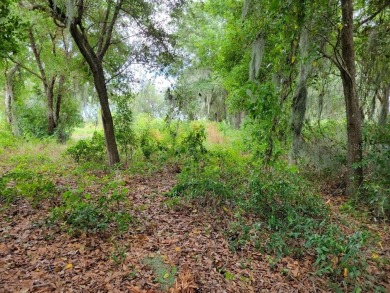 Rare, Large Estate Lot of +/- 0.95 Acres (Lot B) directly on on Kissimmee Bay Country Club in Florida - for sale on GolfHomes.com, golf home, golf lot