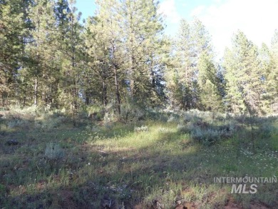 Nicely wooded lot with views to the west. Driveway is shared for on Meadowcreek Golf Resort in Idaho - for sale on GolfHomes.com, golf home, golf lot