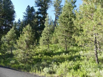 Nicely wooded lot with views to the west. Driveway is shared for on Meadowcreek Golf Resort in Idaho - for sale on GolfHomes.com, golf home, golf lot