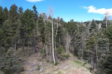 Enjoy all the wildlife and tranquility from this beautiful on Angel Fire Resort Country Club in New Mexico - for sale on GolfHomes.com, golf home, golf lot