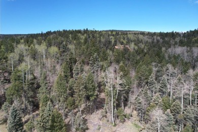 Enjoy all the wildlife and tranquility from this beautiful on Angel Fire Resort Country Club in New Mexico - for sale on GolfHomes.com, golf home, golf lot