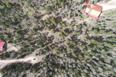 Enjoy all the wildlife and tranquility from this beautiful on Angel Fire Resort Country Club in New Mexico - for sale on GolfHomes.com, golf home, golf lot
