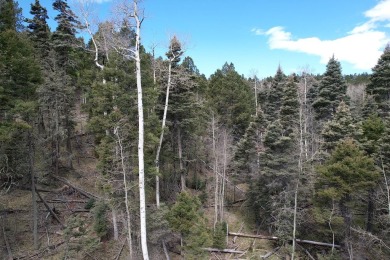 Enjoy all the wildlife and tranquility from this beautiful on Angel Fire Resort Country Club in New Mexico - for sale on GolfHomes.com, golf home, golf lot