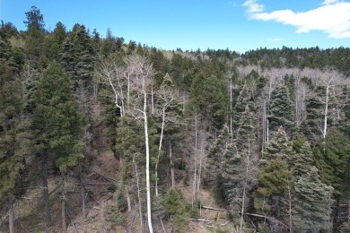 Enjoy all the wildlife and tranquility from this beautiful on Angel Fire Resort Country Club in New Mexico - for sale on GolfHomes.com, golf home, golf lot