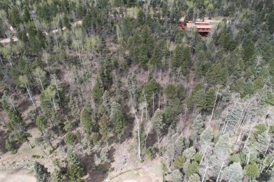 Enjoy all the wildlife and tranquility from this beautiful on Angel Fire Resort Country Club in New Mexico - for sale on GolfHomes.com, golf home, golf lot