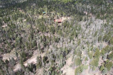 Enjoy all the wildlife and tranquility from this beautiful on Angel Fire Resort Country Club in New Mexico - for sale on GolfHomes.com, golf home, golf lot