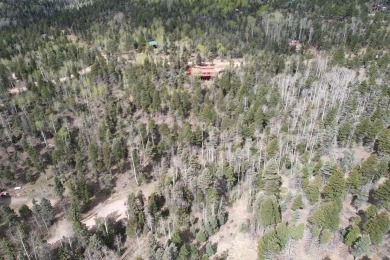 Enjoy all the wildlife and tranquility from this beautiful on Angel Fire Resort Country Club in New Mexico - for sale on GolfHomes.com, golf home, golf lot